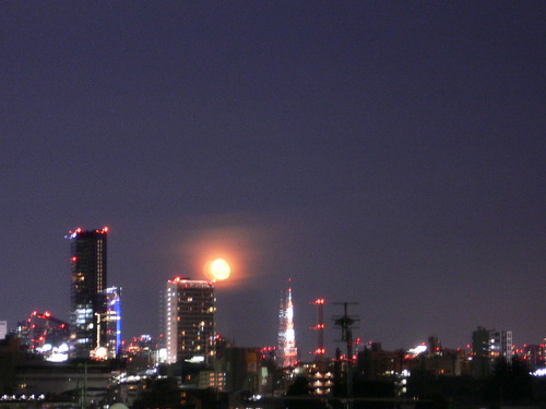 luna e torre tokyo.JPG